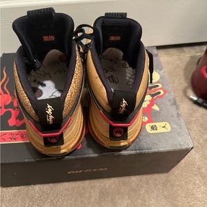 Rui hachimara Jordan 36